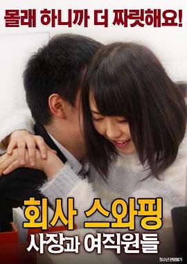 公司交换：老板与女职员海报-看点影视
