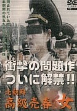 北朝鮮高級売春女海报-看点影视