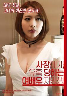女演员之路海报-看点影视