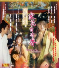 风月宝鉴之家花自有香海报-看点影视