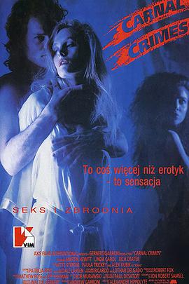 性罪海报-看点影视